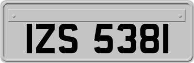 IZS5381