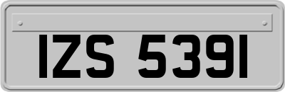 IZS5391