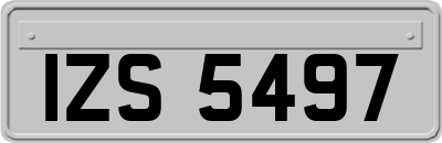 IZS5497