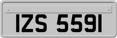IZS5591