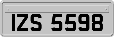 IZS5598