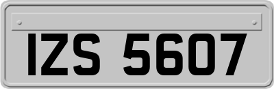 IZS5607