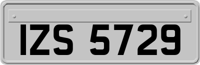 IZS5729