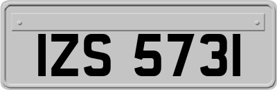 IZS5731
