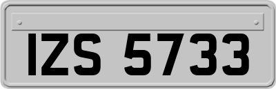 IZS5733