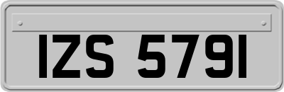 IZS5791