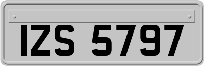 IZS5797