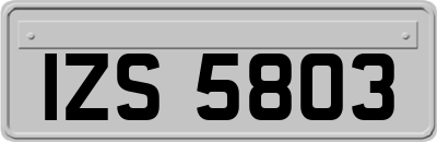 IZS5803