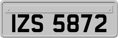 IZS5872