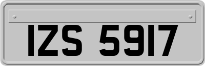IZS5917
