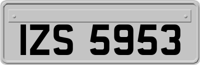 IZS5953