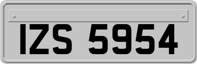 IZS5954