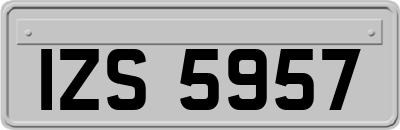 IZS5957