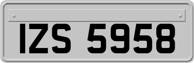 IZS5958