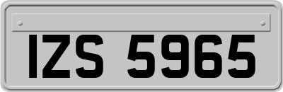 IZS5965