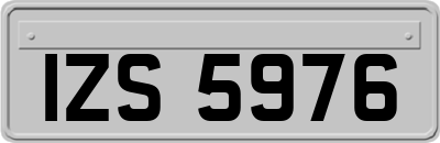 IZS5976