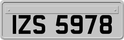 IZS5978
