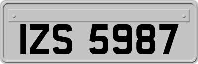 IZS5987