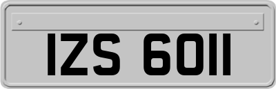 IZS6011