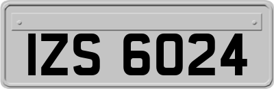 IZS6024
