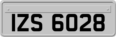 IZS6028