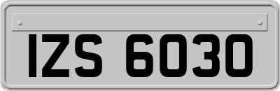 IZS6030