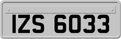 IZS6033