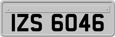 IZS6046