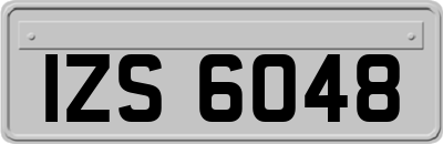 IZS6048