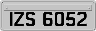 IZS6052