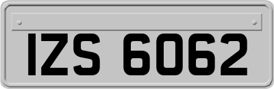 IZS6062
