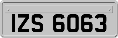 IZS6063