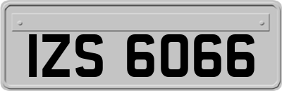 IZS6066