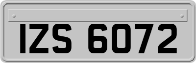 IZS6072