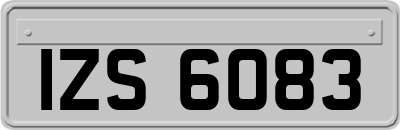 IZS6083