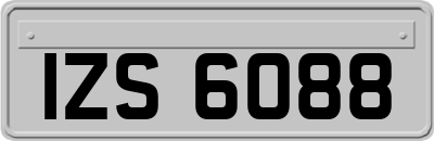 IZS6088