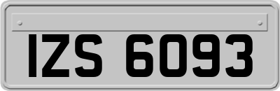 IZS6093