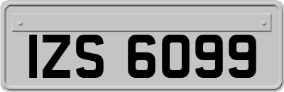 IZS6099