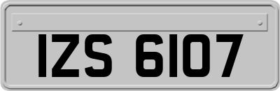 IZS6107