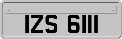 IZS6111