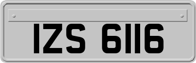 IZS6116