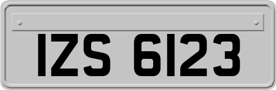 IZS6123