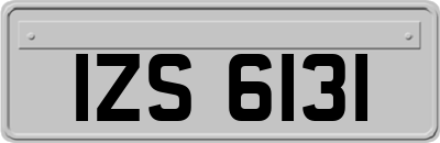 IZS6131