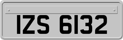 IZS6132