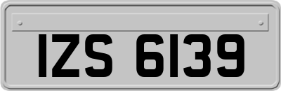 IZS6139