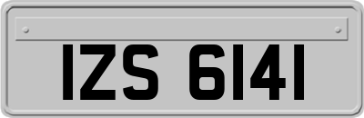 IZS6141