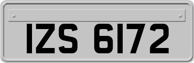 IZS6172