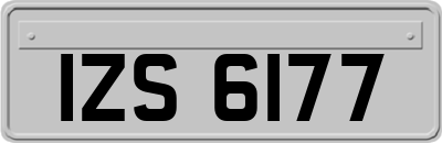 IZS6177