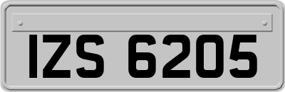 IZS6205