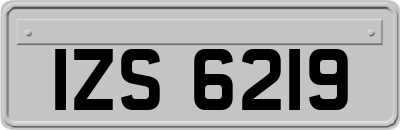 IZS6219